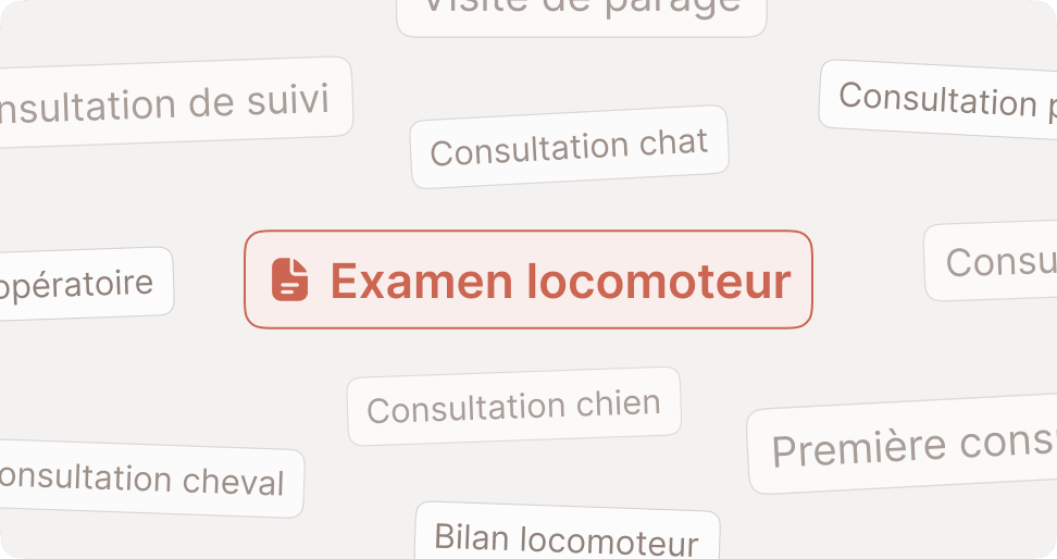 Une rédaction adaptée à vos propres trames
